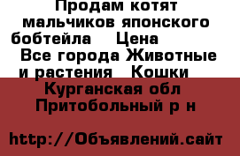 Продам котят мальчиков японского бобтейла. › Цена ­ 30 000 - Все города Животные и растения » Кошки   . Курганская обл.,Притобольный р-н